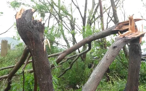 Hà Tĩnh khắc phục thiệt hại sau Bão số 5