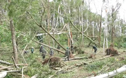 Quân khu 4 khắc phục thiệt hại tại khu di tích Kim Liên