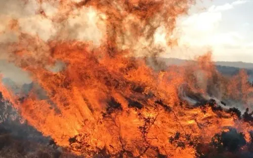 Loạt đạn pháo từ Thế chiến II phát nổ do cháy rừng tại Anh