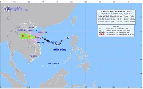 Bão số 6 đi vào đất liền chiều tối 30/8, gây mưa lớn
