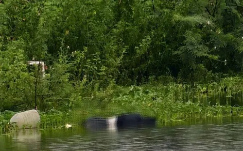 Bắc Ninh: Xác định nguyên nhân 2 nữ công nhân tử vong tại hồ Hoàng Mai 3