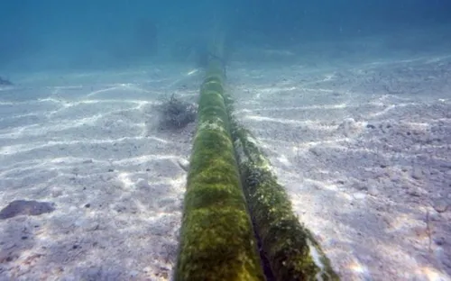 Gián đoạn Internet tại châu Á và Trung Đông do đứt cáp quang ở Biển Đỏ