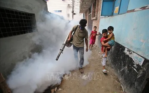 Bangladesh đối mặt nhiều bệnh truyền nhiễm do muỗi