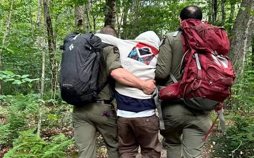 Giải cứu 4 du khách bị lạc trong rừng ở New York vì dùng nấm ảo giác