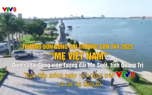 Tám cùng bạn - Số 13 (08/09/2025)
