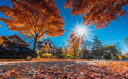 Minneapolis - thành phố của những hồ nước khoác áo vàng rực rỡ