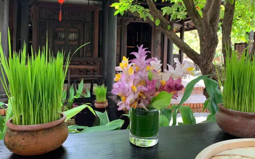 Bông giờ - Nỗi nhớ dịu dàng