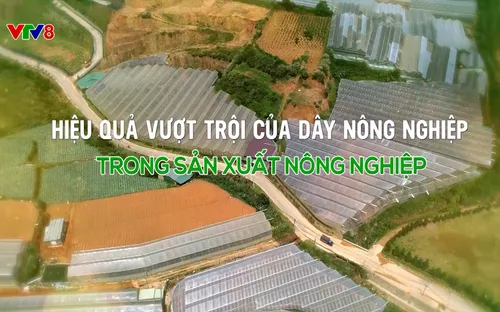 Phóng sự: Hiệu quả vượt trội của dây nông nghiệp trong sản xuất nông nghiệp (13/09/2025)