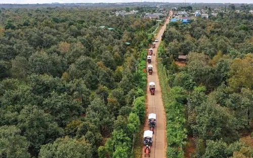 Nồng nàn hương sầu riêng Đắk Lắk