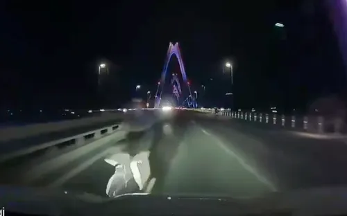 Người đàn ông đi xe đạp ngược chiều trên cầu Nhật Tân bị ô tô tông tử vong