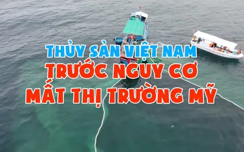 Thủy sản Việt Nam trước nguy cơ mất thị trường Mỹ