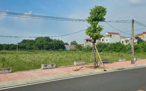 Hà Nội siết kỷ cương đấu thầu: Xử lý nghiêm vi phạm, đẩy mạnh minh bạch