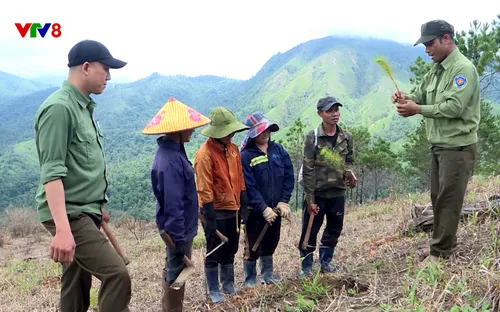 Tây Nguyên hôm nay: Giữ màu xanh cho buôn làng Tây Nguyên (14/09/2025)