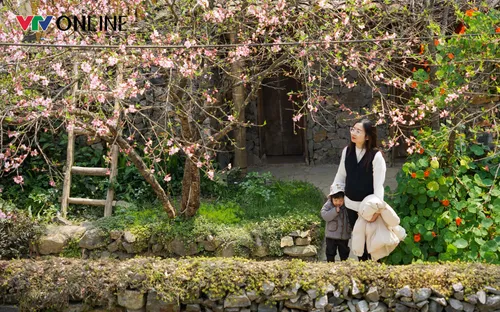 Bác bỏ thông tin sai sự thật về giá dịch vụ du lịch tại thôn Lô Lô Chải