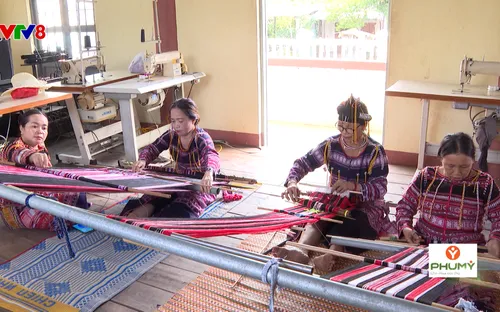 Nông nghiệp xanh: Xu hướng du lịch nông nghiệp nông thôn (18/09/2025)