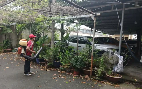 TP Hồ Chí Minh: Thêm hơn 2.100 ca sốt xuất huyết vừa được ghi nhận