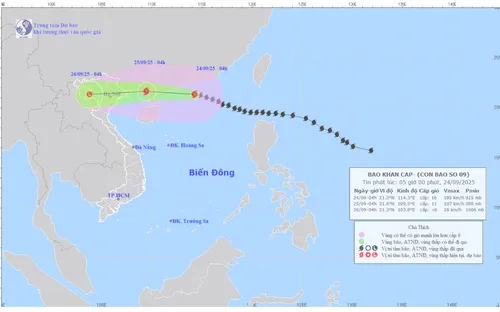 Bão số 9 cách Móng Cái (Quảng Ninh) khoảng 650km, cảnh báo mưa lớn và gió giật mạnh