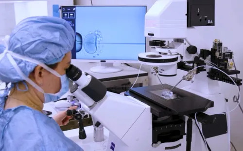 Thành tựu trong điều trị vô sinh hiếm muộn