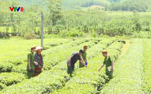 Điểm tựa bình yên: Khi niềm tin đặt đúng chỗ (24/09/2025)