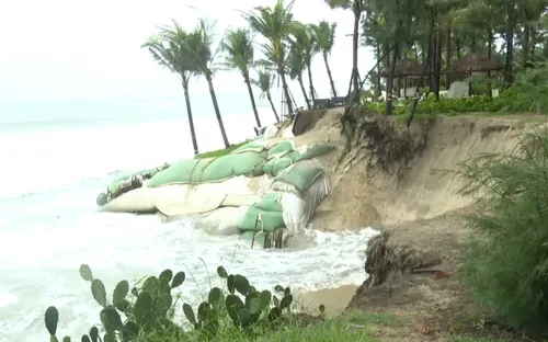 Sống chung với bão