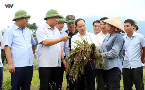Phú Thọ: Gần 2.000 nhà dân bị hư hỏng, thiệt hại khoảng 85 tỉ đồng