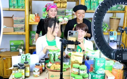 Hàng vạn nông dân bán hàng livestream