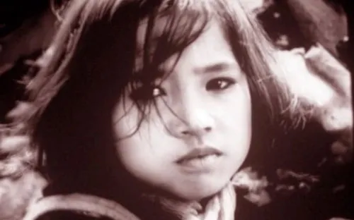 Trình chiếu, giới thiệu 10 bộ phim Việt Nam tại Hoa Kỳ