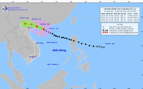 Bão số 11 cách Móng Cái (Quảng Ninh) khoảng 290 km