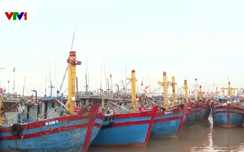 Nhiều địa phương cấm biển, gia cố đê kè ứng phó bão số 11