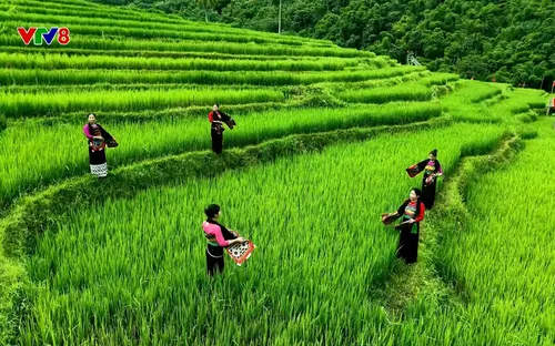 Quyến rũ Việt Nam: Du lịch cộng đồng xứ Thanh