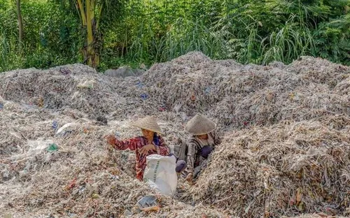 Xuất khẩu rác thải nhựa của Anh sang các nước đang phát triển tăng 84%