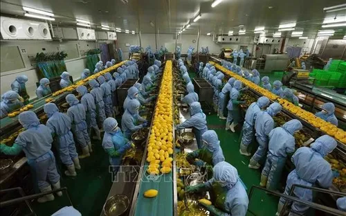 Thúc đẩy đàm phán thương mại với Hoa Kỳ