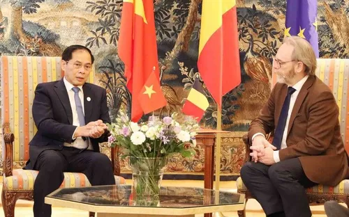 Việt Nam đề nghị Bỉ phê chuẩn EVIPA trong năm 2025