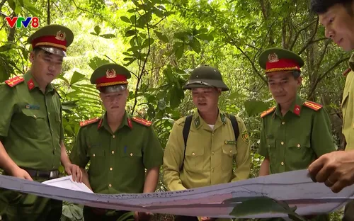 Điểm tựa bình yên: Một ngày ở Cúc Phương