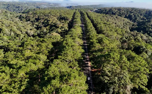 Mở lối cho “Thiên đường xanh” ở Măng Đen