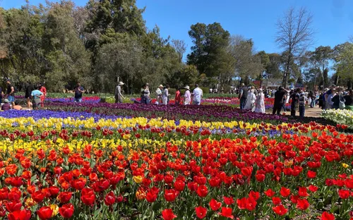 Floriade - biển hoa mùa xuân