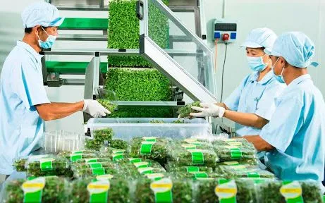 Kích hoạt dòng vốn xanh: Đòn bẩy lãi suất giúp doanh nghiệp Việt "về đích" bền vững