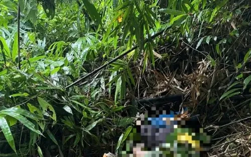 Nghi bị voi rừng tấn công, một người đàn ông tử vong