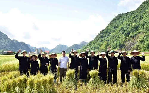 Quỳnh Sơn: Dấu ấn Việt Nam trên bản đồ “Làng Du lịch tốt nhất thế giới”