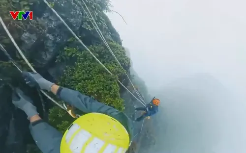 Những người đu dây nhặt rác trên đỉnh Fansipan