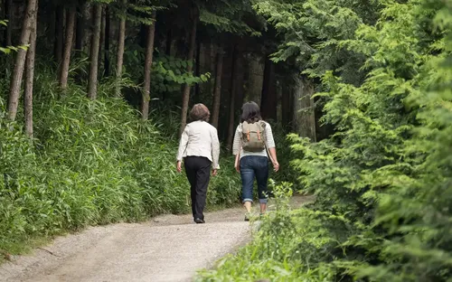 Khi thiên nhiên trở thành liệu pháp phục hồi, tái tạo cơ thể