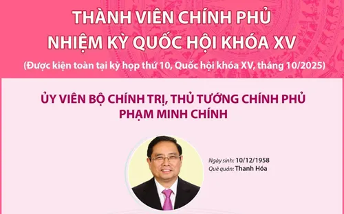 [Infographic] Thành viên Chính phủ nhiệm kỳ Quốc hội khóa XV