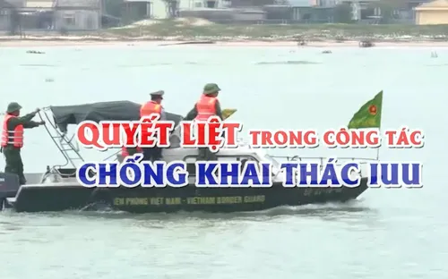 Quyết liệt trong công tác chống khai thác IUU
