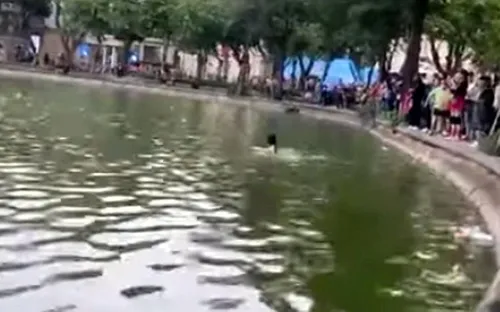 Hà Nội: UBND phường thông tin chính thức vụ người phụ nữ tử vong tại hồ Hoàn Kiếm