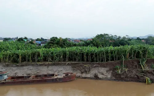 Phú Thọ công bố tình huống khẩn cấp sạt lở bờ sông đê tả hữu sông Thao 