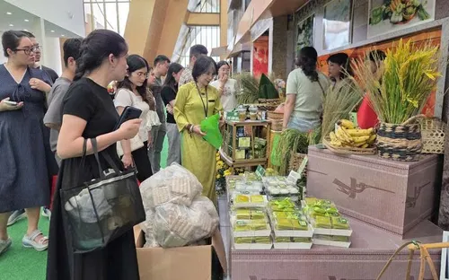 Bao bì và Thương hiệu Xuất khẩu 2025: Khi "ngôn ngữ hình ảnh" định vị giá trị hàng Việt