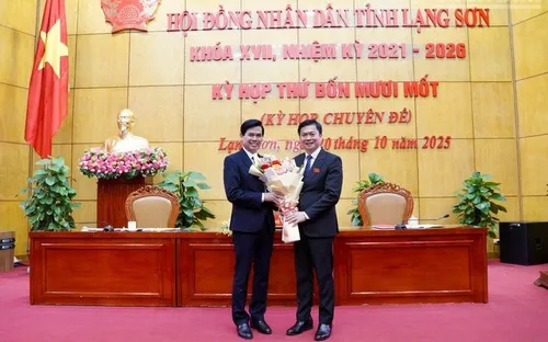 Phê chuẩn kết quả bầu, miễn nhiệm chức vụ Phó Chủ tịch UBND tỉnh Lạng Sơn