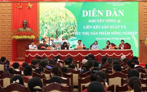 Kết nối sản xuất - tiêu thụ: Hướng đi bền vững cho nông nghiệp cơ sở