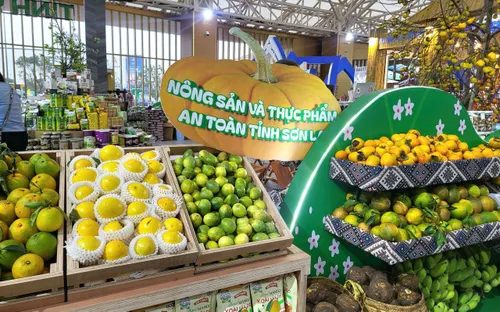 Hội chợ Mùa Thu 2025: Cầu nối đưa nông sản Việt chinh phục thị trường trong và ngoài nước