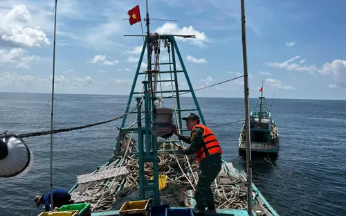 Liên tục phát hiện, xử lý nhiều tàu cá vi phạm quy định khai thác thủy sản